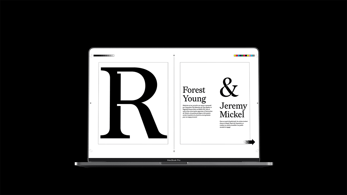 Redaction